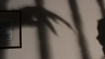 Probate Isn’t the Bogeyman – Especially When You Work with a Lawyer 