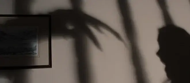 Probate Isn’t the Bogeyman – Especially When You Work with a Lawyer 